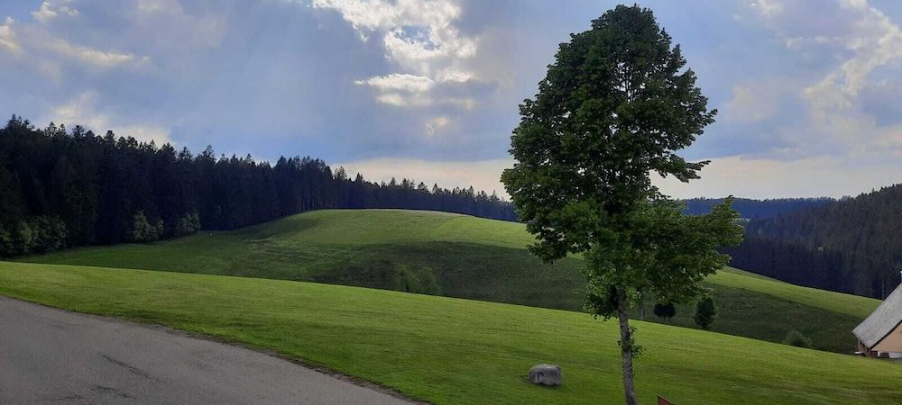 Allgemein