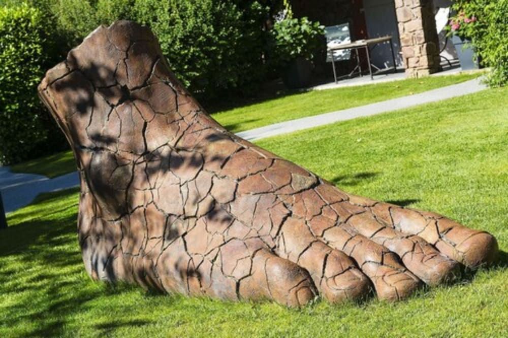 Allgemein