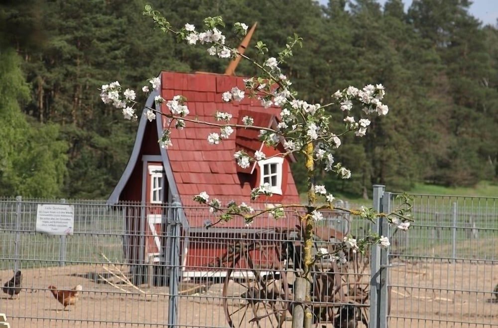 Allgemein