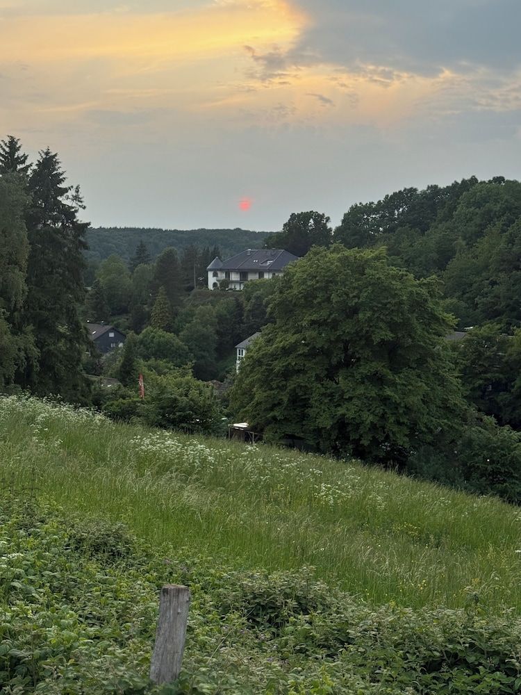 Allgemein