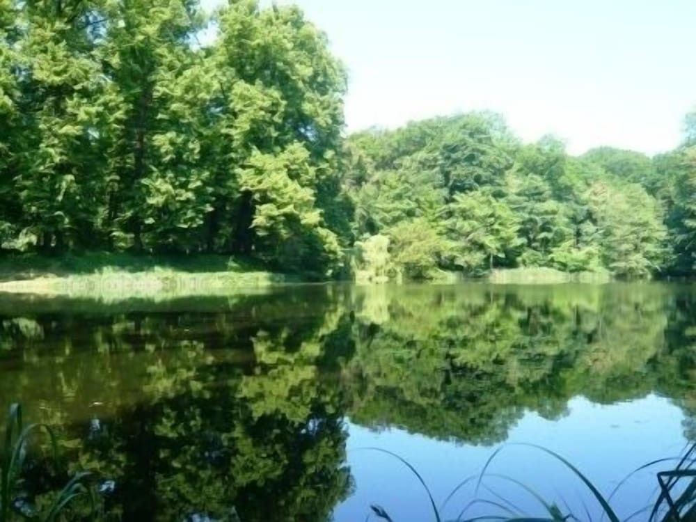 Allgemein